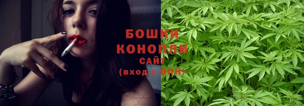 mix Богородицк